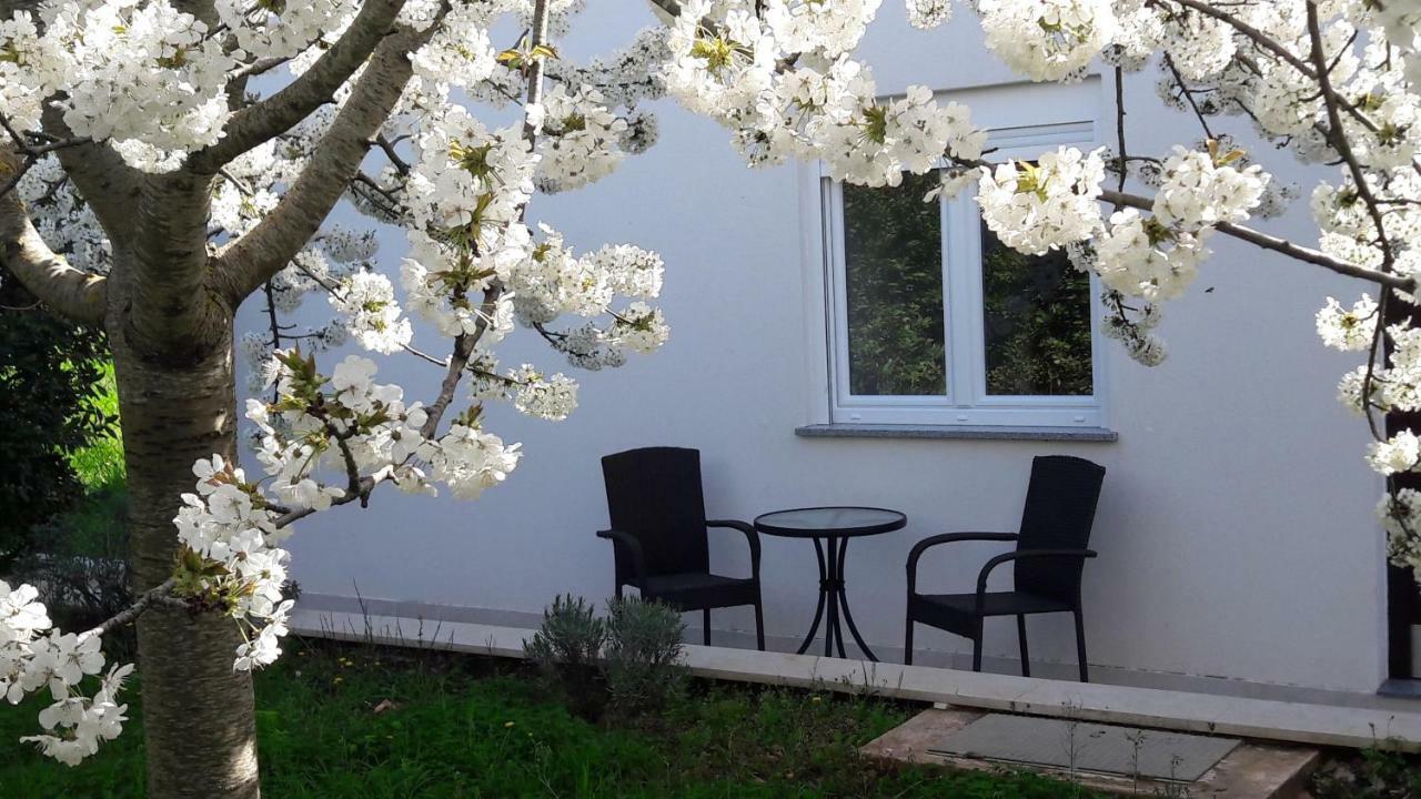 Apartment Greeny Galizana Экстерьер фото
